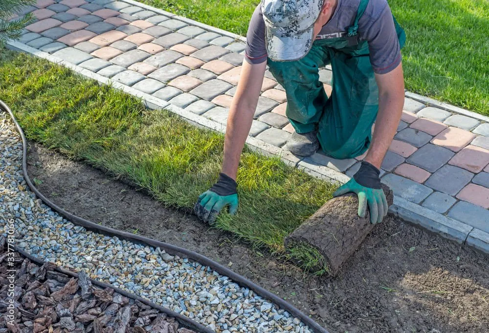 création de jardin mont de marsan