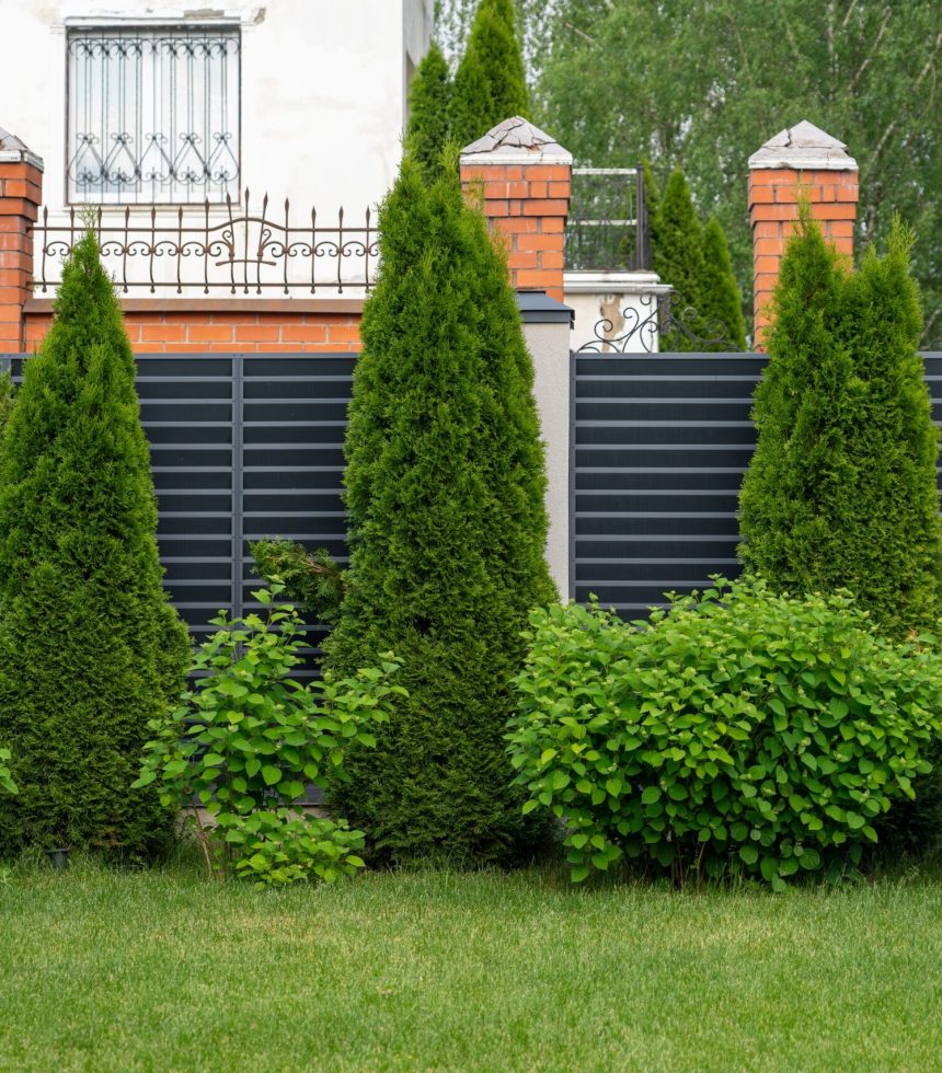 ets lamothe paysagiste mont de marsan